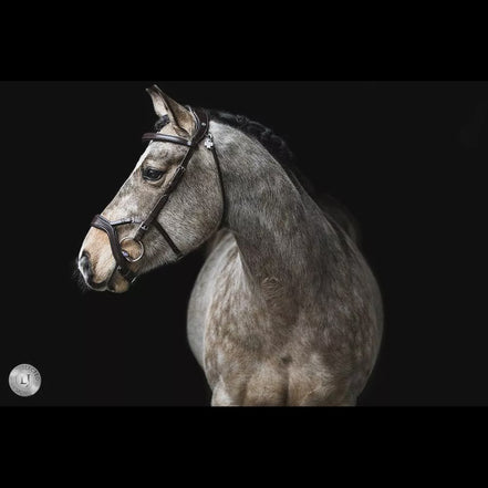 LJ Leathers Hoofdstel JACKSON Trenshoofdstellen - Maddelin Equestrian LJ Leathers