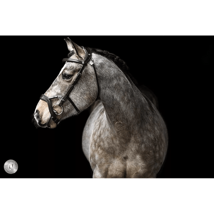 LJ Leathers Hoofdstel JACKSON Trenshoofdstellen - Maddelin Equestrian LJ Leathers