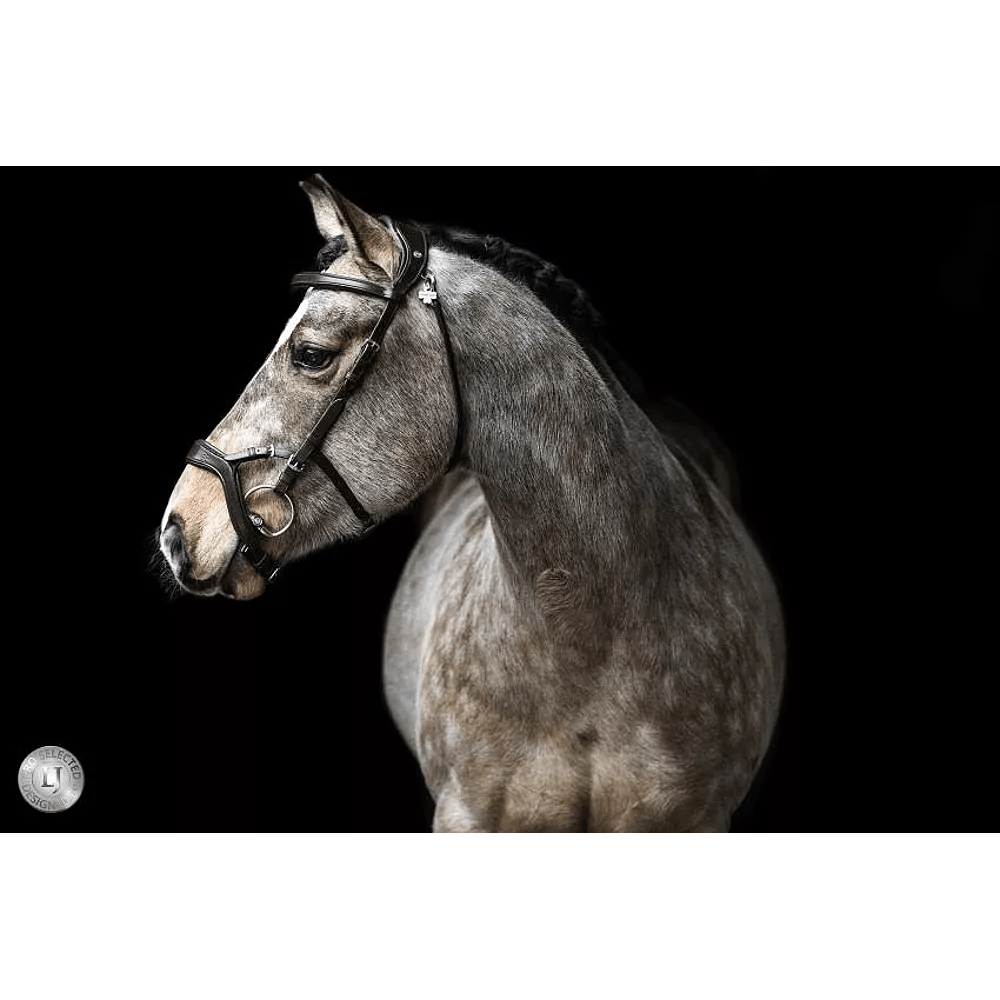 LJ Leathers Hoofdstel JACKSON Trenshoofdstellen - Maddelin Equestrian LJ Leathers
