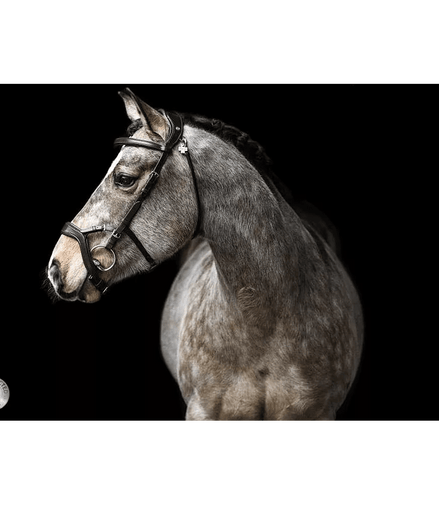 LJ Leathers Hoofdstel JACKSON Trenshoofdstellen - Maddelin Equestrian LJ Leathers