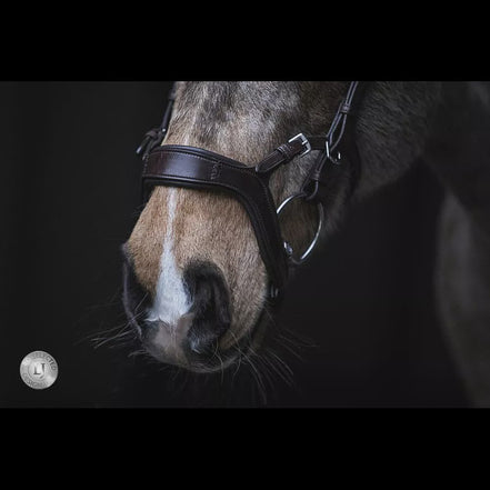 LJ Leathers Hoofdstel JACKSON Trenshoofdstellen - Maddelin Equestrian LJ Leathers