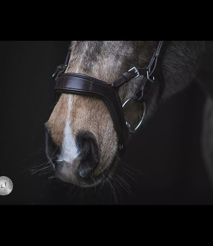 LJ Leathers Hoofdstel JACKSON Trenshoofdstellen - Maddelin Equestrian LJ Leathers