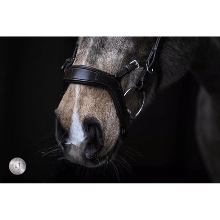 LJ Leathers Hoofdstel JACKSON Trenshoofdstellen - Maddelin Equestrian LJ Leathers
