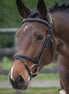LJ Leathers Hoofdstel Legacy Gecombineerde Neusriem Trenshoofdstellen - Maddelin Equestrian LJ Leathers