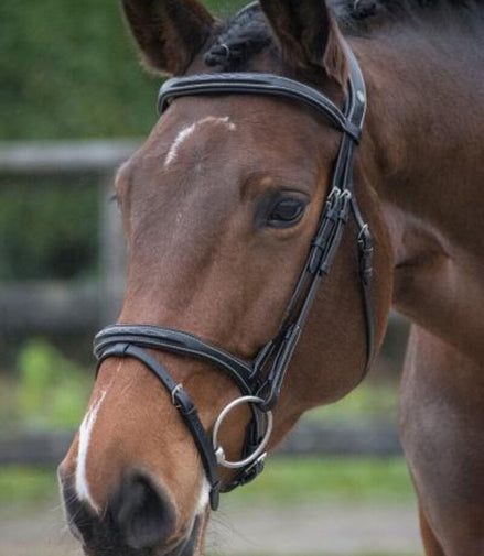 LJ Leathers Hoofdstel Legacy Gecombineerde Neusriem Trenshoofdstellen - Maddelin Equestrian LJ Leathers