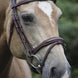 LJ Leathers Hoofdstel Legacy Gecombineerde Neusriem Trenshoofdstellen - Maddelin Equestrian LJ Leathers