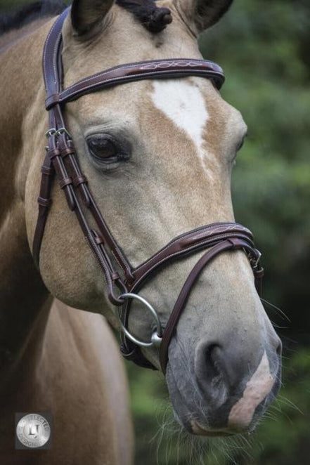 LJ Leathers Hoofdstel Legacy Gecombineerde Neusriem Trenshoofdstellen - Maddelin Equestrian LJ Leathers