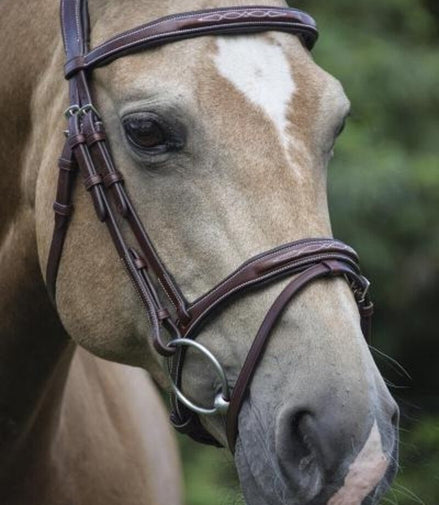 LJ Leathers Hoofdstel Legacy Gecombineerde Neusriem Trenshoofdstellen - Maddelin Equestrian LJ Leathers