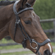 LJ Leathers Hoofdstel Legacy/Polidor Trenshoofdstellen - Maddelin Equestrian LJ Leathers