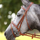 LJ Leathers Hoofdstel London Gecomb. Neusriem Trenshoofdstellen - Maddelin Equestrian LJ Leathers