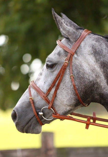 LJ Leathers Hoofdstel London Gecomb. Neusriem Trenshoofdstellen - Maddelin Equestrian LJ Leathers