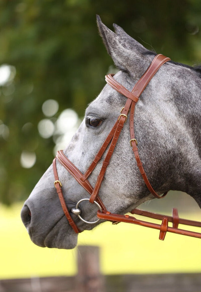 LJ Leathers Hoofdstel London Gecomb. Neusriem Trenshoofdstellen - Maddelin Equestrian LJ Leathers