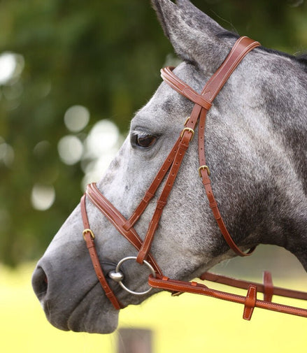 LJ Leathers Hoofdstel London Gecomb. Neusriem Trenshoofdstellen - Maddelin Equestrian LJ Leathers
