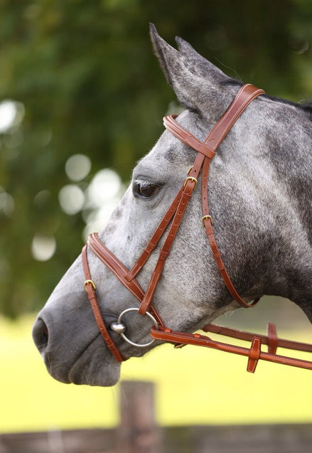 LJ Leathers Hoofdstel London Gecomb. Neusriem Trenshoofdstellen - Maddelin Equestrian LJ Leathers