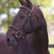 LJ Leathers Hoofdstel London Gecomb. Neusriem Trenshoofdstellen - Maddelin Equestrian LJ Leathers