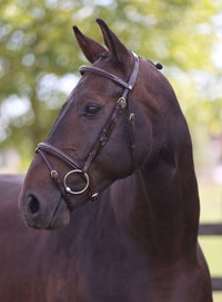 LJ Leathers Hoofdstel London Gecomb. Neusriem Trenshoofdstellen - Maddelin Equestrian LJ Leathers