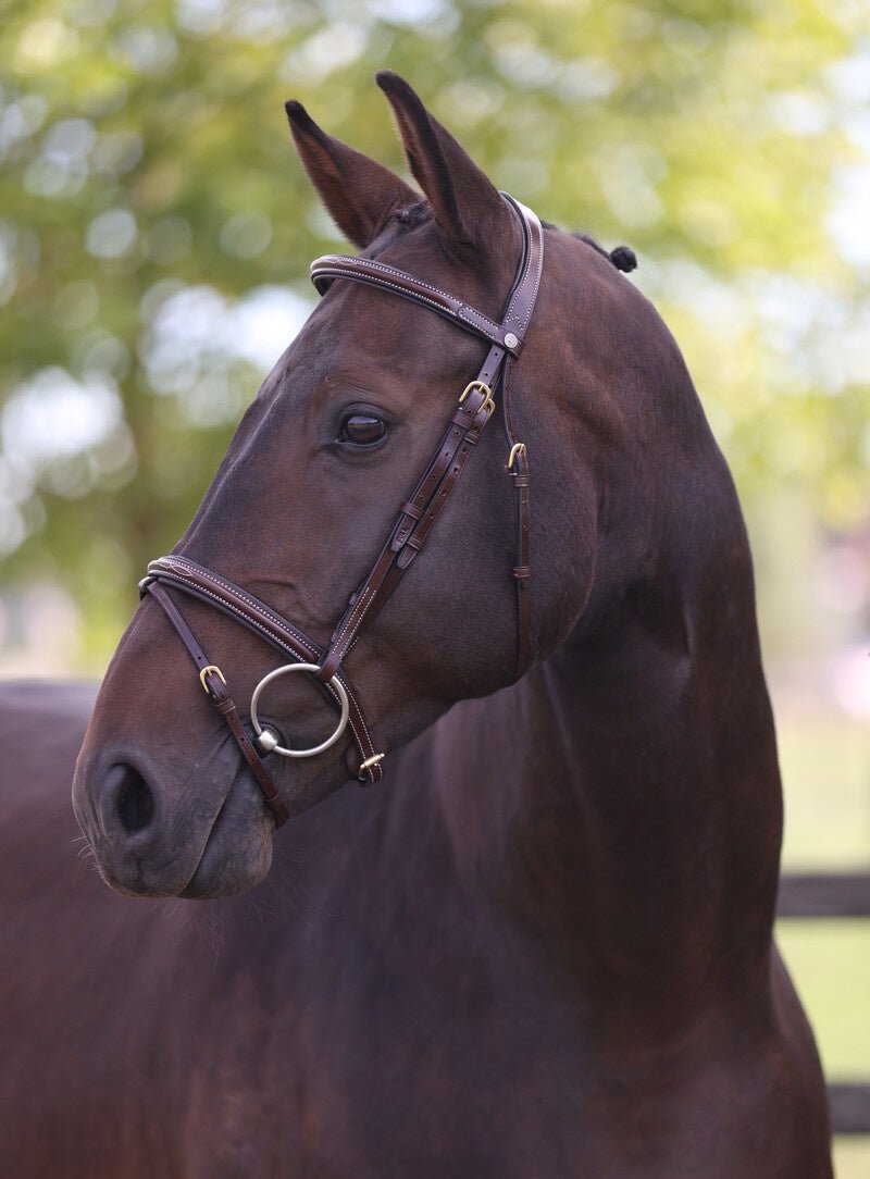 LJ Leathers Hoofdstel London Gecomb. Neusriem Trenshoofdstellen - Maddelin Equestrian LJ Leathers