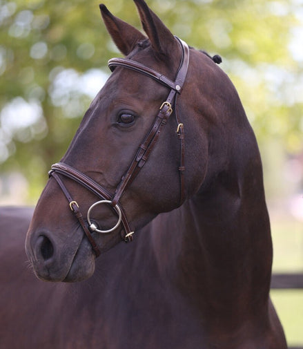 LJ Leathers Hoofdstel London Gecomb. Neusriem Trenshoofdstellen - Maddelin Equestrian LJ Leathers