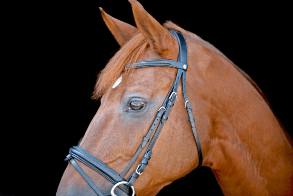 LJ Leathers Hoofdstel New Classic Trenshoofdstellen - Maddelin Equestrian LJ Leathers