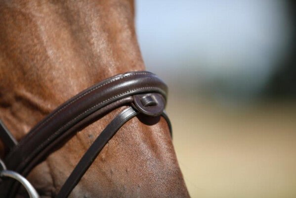 LJ Leathers Hoofdstel New Classic Trenshoofdstellen - Maddelin Equestrian LJ Leathers