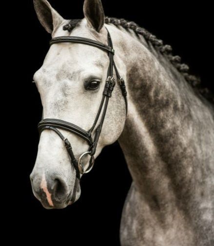 LJ Leathers Hoofdstel ˜New Pro" Trenshoofdstellen - Maddelin Equestrian LJ Leathers