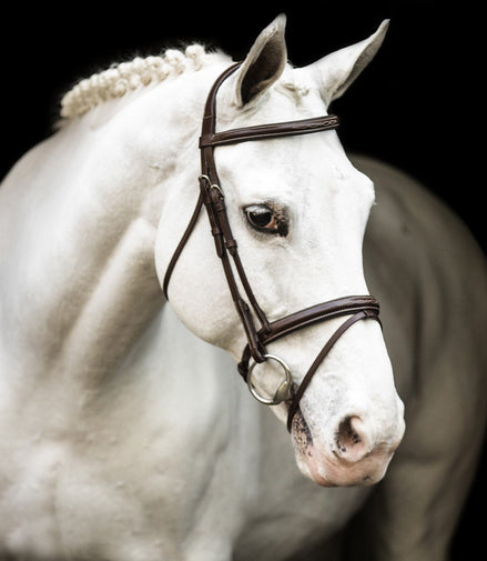 LJ Leathers Hoofdstel ˜New Pro ˜ zonder teugels Trenshoofdstellen - Maddelin Equestrian LJ Leathers