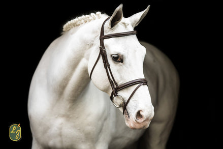 LJ Leathers Hoofdstel ˜New Pro ˜ zonder teugels Trenshoofdstellen - Maddelin Equestrian LJ Leathers