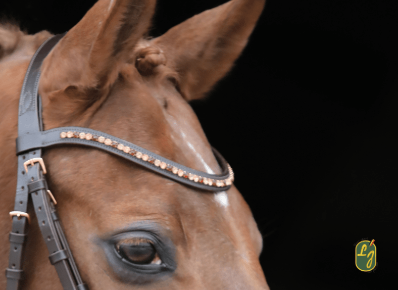 LJ Leathers Hoofdstel Rose Aansnoerneusriem Met Lak Rosé Gold Trenshoofdstellen - Maddelin Equestrian LJ Leathers
