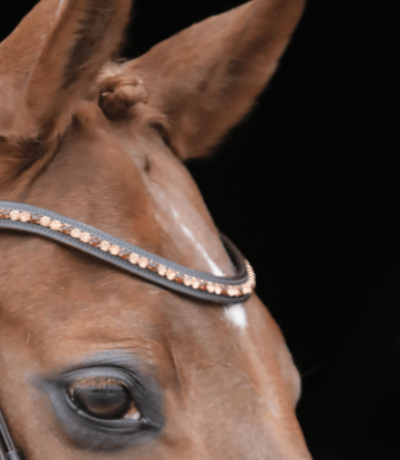 LJ Leathers Hoofdstel Rose Aansnoerneusriem Met Lak Rosé Gold Trenshoofdstellen - Maddelin Equestrian LJ Leathers