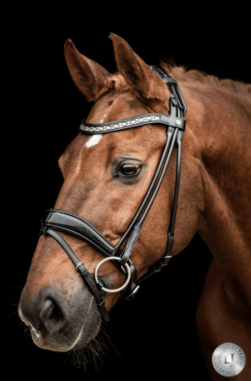 LJ Leathers Hoofdstel Sarra Rond Genaaid Trenshoofdstellen - Maddelin Equestrian LJ Leathers