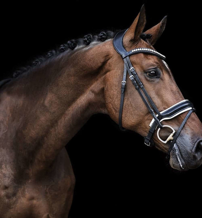 LJ Leathers Hoofdstel Superior Kristal Trenshoofdstellen - Maddelin Equestrian LJ Leathers