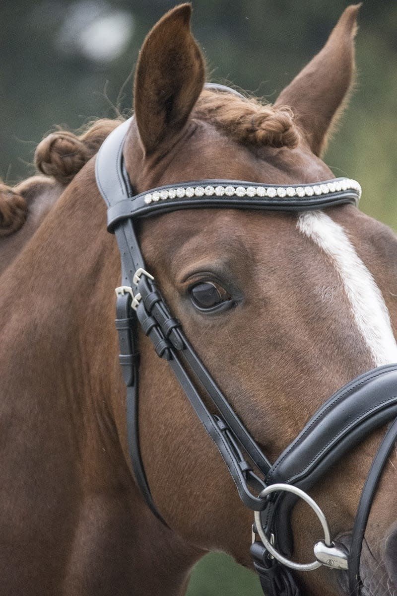 LJ Leathers Hoofdstel Superior Kristal Trenshoofdstellen - Maddelin Equestrian LJ Leathers