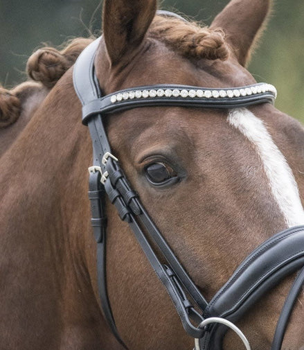 LJ Leathers Hoofdstel Superior Kristal Trenshoofdstellen - Maddelin Equestrian LJ Leathers