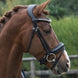 LJ Leathers Hoofdstel Superior Lak Trenshoofdstellen - Maddelin Equestrian LJ Leathers
