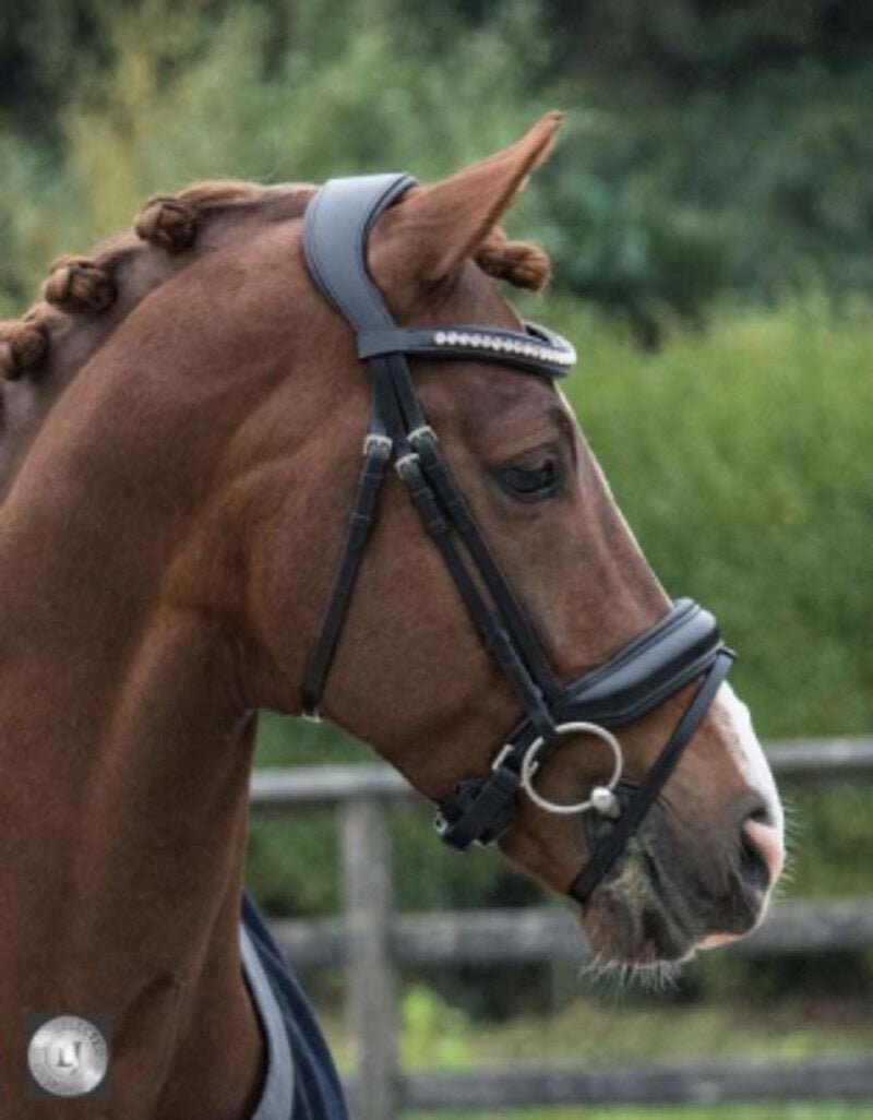 LJ Leathers Hoofdstel Superior Lak Trenshoofdstellen - Maddelin Equestrian LJ Leathers