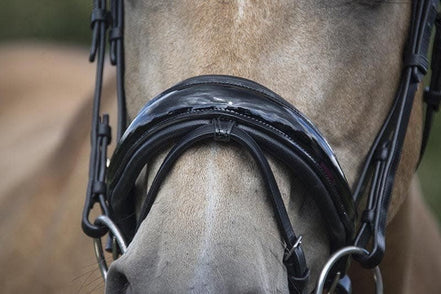 LJ Leathers Hoofdstel Superior Lak Trenshoofdstellen - Maddelin Equestrian LJ Leathers