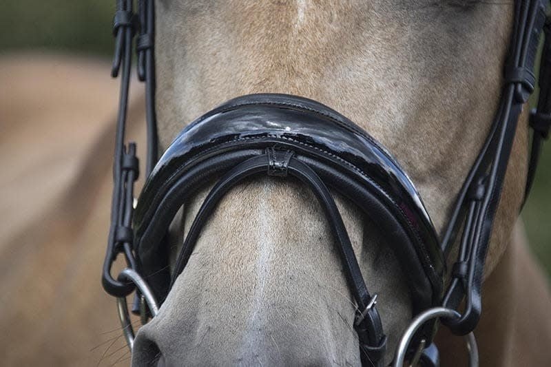 LJ Leathers Hoofdstel Superior Lak Trenshoofdstellen - Maddelin Equestrian LJ Leathers