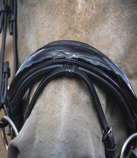 LJ Leathers Hoofdstel Superior Lak Trenshoofdstellen - Maddelin Equestrian LJ Leathers