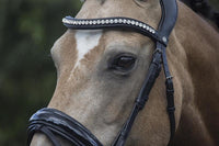 LJ Leathers Hoofdstel Superior Lak Trenshoofdstellen - Maddelin Equestrian LJ Leathers