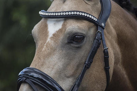 LJ Leathers Hoofdstel Superior Lak Trenshoofdstellen - Maddelin Equestrian LJ Leathers