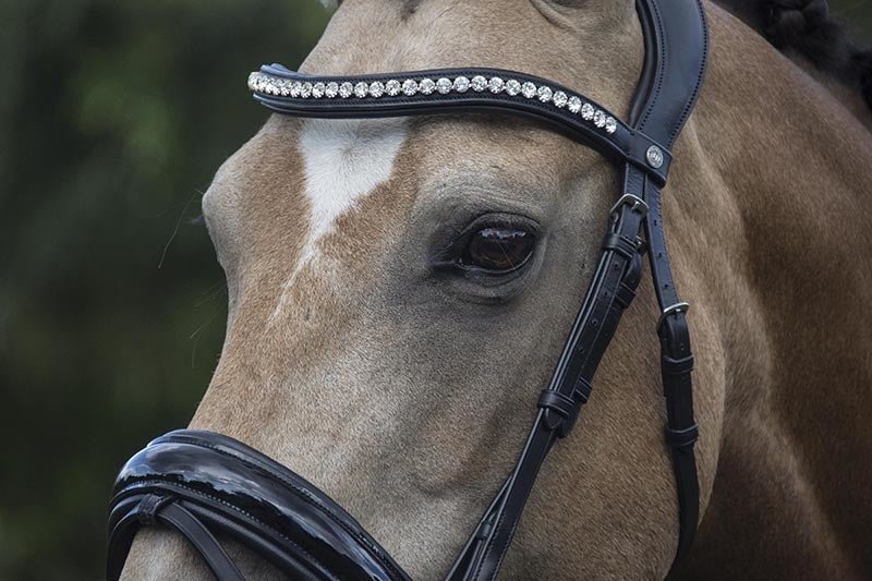 LJ Leathers Hoofdstel Superior Lak Trenshoofdstellen - Maddelin Equestrian LJ Leathers