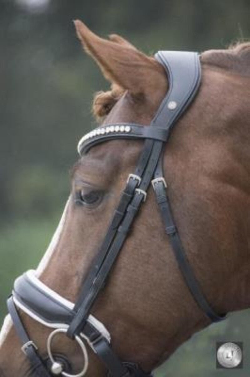 LJ Leathers Hoofdstel Superior Lak Trenshoofdstellen - Maddelin Equestrian LJ Leathers
