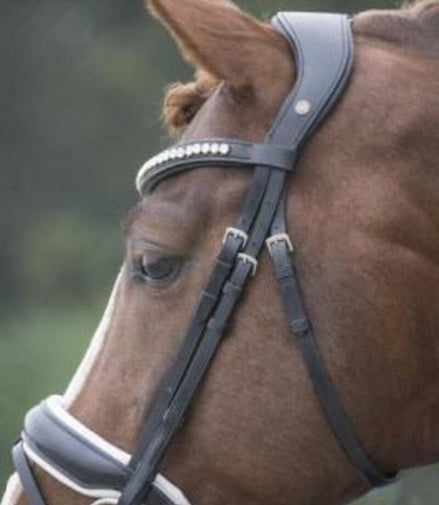 LJ Leathers Hoofdstel Superior Lak Trenshoofdstellen - Maddelin Equestrian LJ Leathers