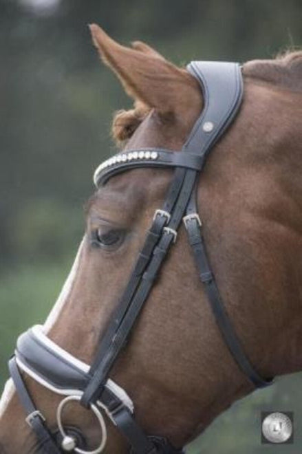 LJ Leathers Hoofdstel Superior Lak Trenshoofdstellen - Maddelin Equestrian LJ Leathers