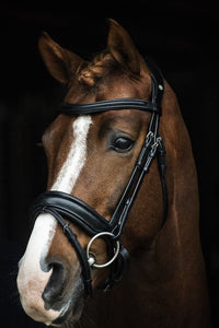 LJ Leathers Hoofdstel Superior Trenshoofdstellen - Maddelin Equestrian LJ Leathers