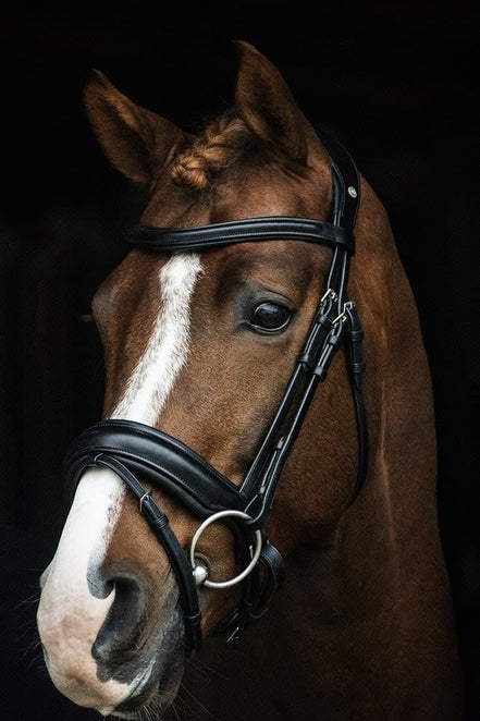 LJ Leathers Hoofdstel Superior Trenshoofdstellen - Maddelin Equestrian LJ Leathers