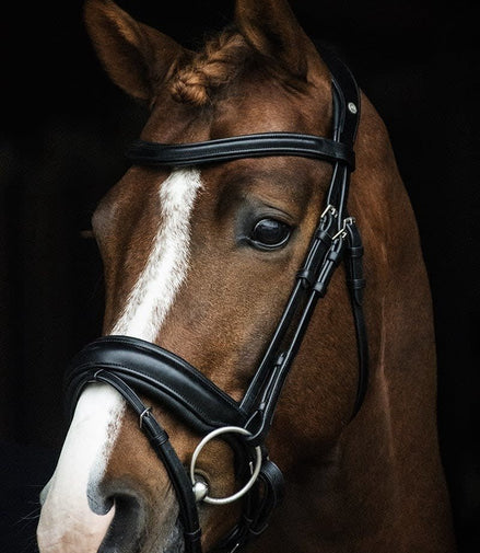 LJ Leathers Hoofdstel Superior Trenshoofdstellen - Maddelin Equestrian LJ Leathers