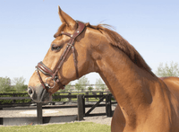 LJ Leathers Hoofdstel Superior Trenshoofdstellen - Maddelin Equestrian LJ Leathers