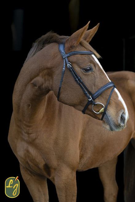 LJ Leathers Hoofdstel TRESS gecombineerde neusriem Trenshoofdstellen - Maddelin Equestrian