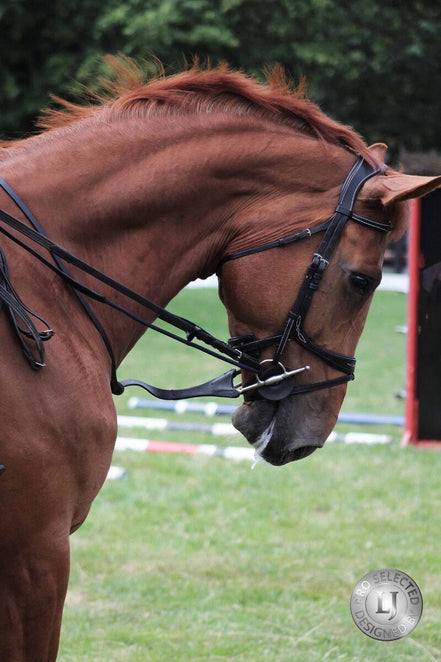 LJ Leathers Jump Assist By Symons Hulpteugels - Maddelin Equestrian LJ Leathers